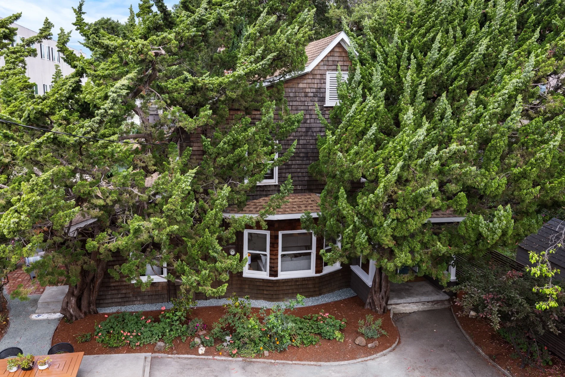 1937_Haste_St_Berkeley_CA_94704_Web_MLS_72ppi_49.jpg