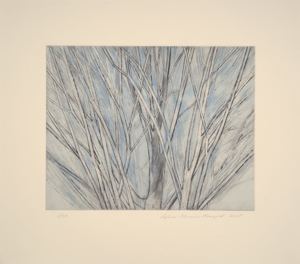 &lt;u&gt;&lt;a href="/artists/Sylvia-Plimack-Mangold "target="_blank"&gt; Sylvia Plimack Mangold &lt;/a&gt;&lt;/u&gt;&lt;p&gt;&lt;i&gt; Maple Tree Detail&lt;/i&gt;,  2015 &lt;/p&gt;
