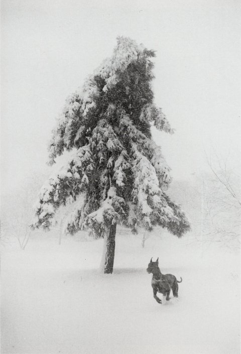 &lt;u&gt;&lt;a href="/artists/Garry-Winogrand"target="_blank"&gt;Garry Winogrand&lt;/a&gt;&lt;/u&gt;&lt;p&gt;&lt;i&gt;New York City&lt;/i&gt;, 1967&lt;/p&gt;
