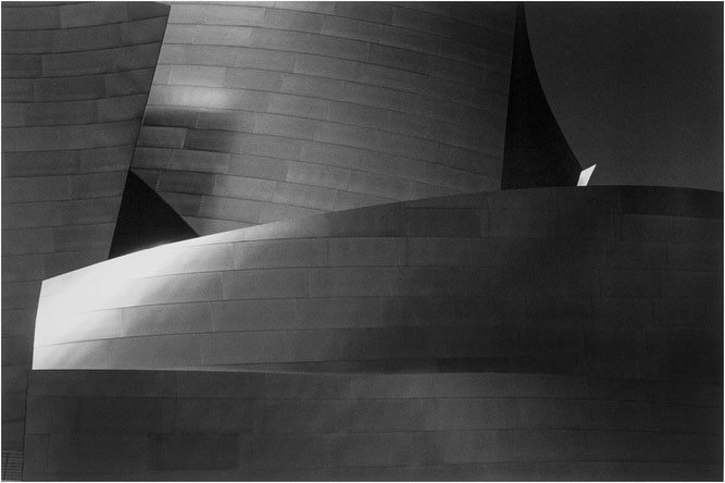 FAPE is honored to include works by Leonard&rsquo;s wife, Judy Glickman Lauder, in our Collection. In 2016 she generously donated her photographs of Frank Gehry&rsquo;s Walt Disney Concert Hall. They are now on display at the U.S. Embassy in Berlin, 