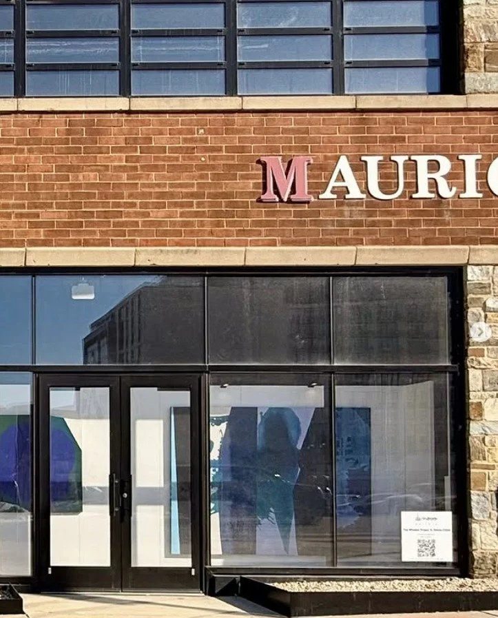 Congratulations to FAPE members Jamie and Ryan Dattilo, founders of De Novo Gallery, on the newest iteration of The Window Project! The installation features paintings and sculptures by Baltimore-based artist @emmechilds, on view at 450 Penn Street, 