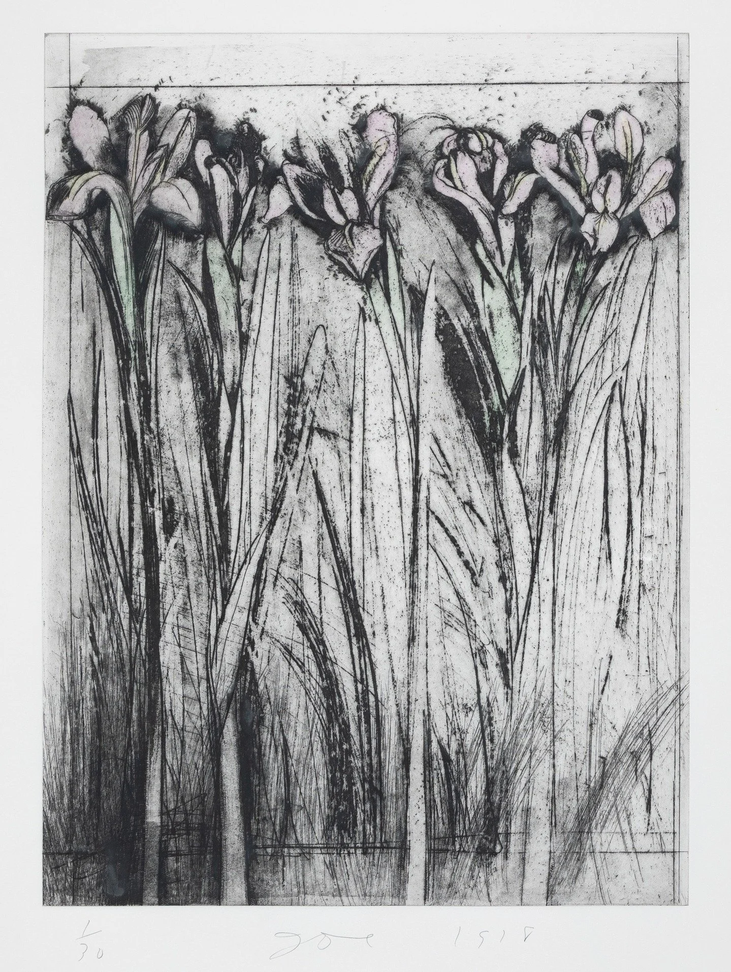 Happy Passover! 

Image:

Jim Dine, "Tulips (A Temple of Flora), 1978, Etching, 39 x 27 1/2 inches 
Gift of Milly and Arne Glimcher in honor of Jo Carole Lauder