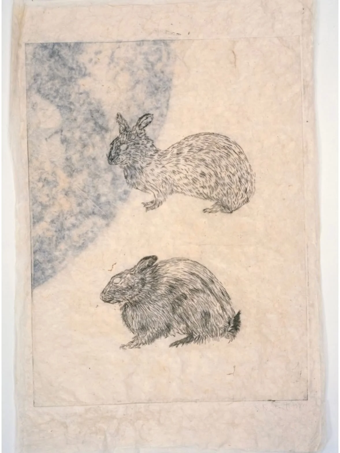 FAPE wishes everyone a hoppy Easter!

Image: Kiki Smith, &ldquo;Double Animals&rdquo;, 1998, Ink with collage and methyl cellulose, 30 x 20 &frac14; inches, Gift of the artist and Pace Gallery, Photo: Gordon Riley Christmas