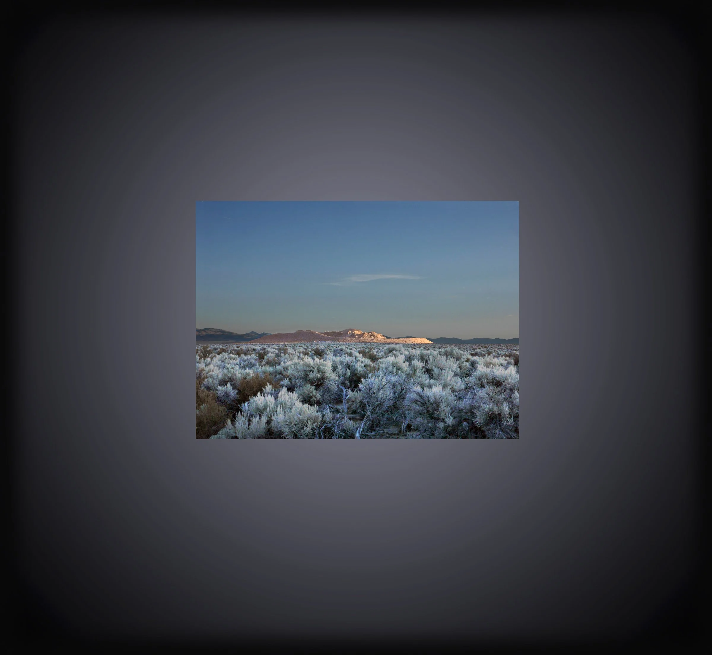 Black Button Mono Photo.jpg