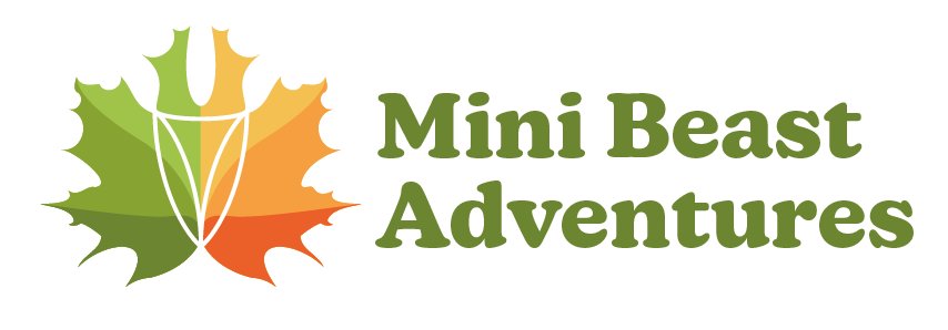 Mini Beast Adventures