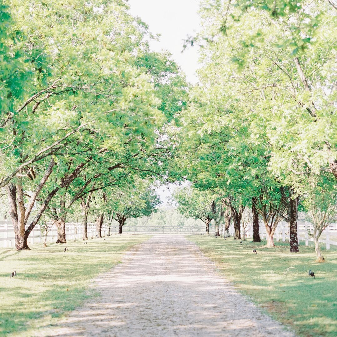 Our entrance, lined with lush trees, canopy into the picture perfect backdrop for your wedding day😍

Visit our website to see more of our wedding sites for your big day!

www.thegracewoodmanor.com


Venue @gracewoodmanor
Photographer @katherinea