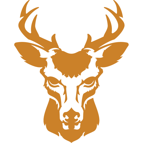 about-our-land-rocky-bluff-outfitters-lodge