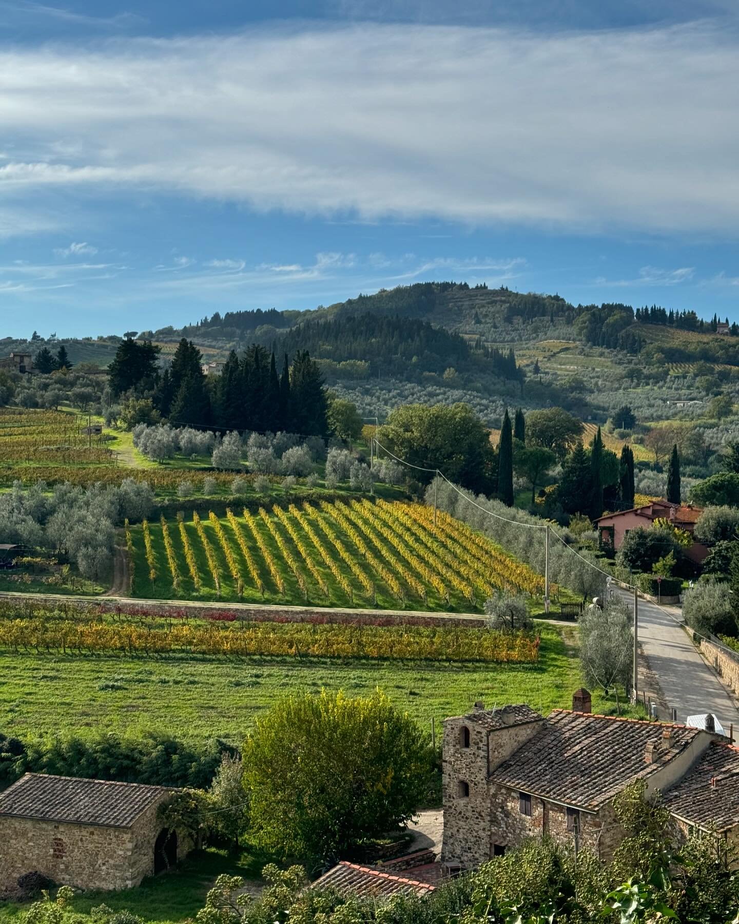 The restaurant we were planning to have lunch at was closed. 
We kept driving and saw a sign for taverna with views in Montefioralle. 
We walked down a deserted little &lsquo;street&rsquo; in the village and found @ilguerrinodimontefioralle 
Everythi