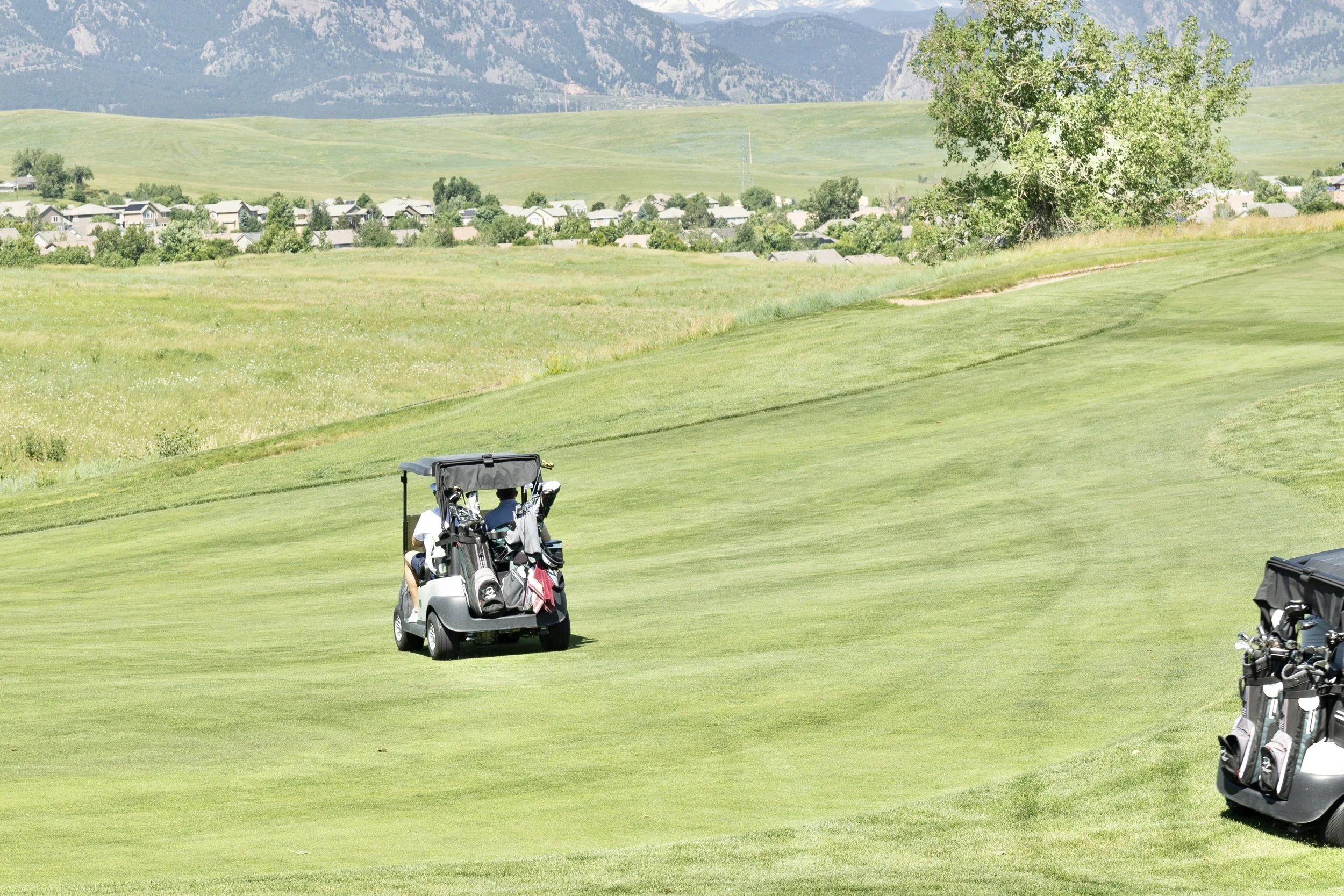 Photo Jun 22 2023, 10 38 39 AM.jpg