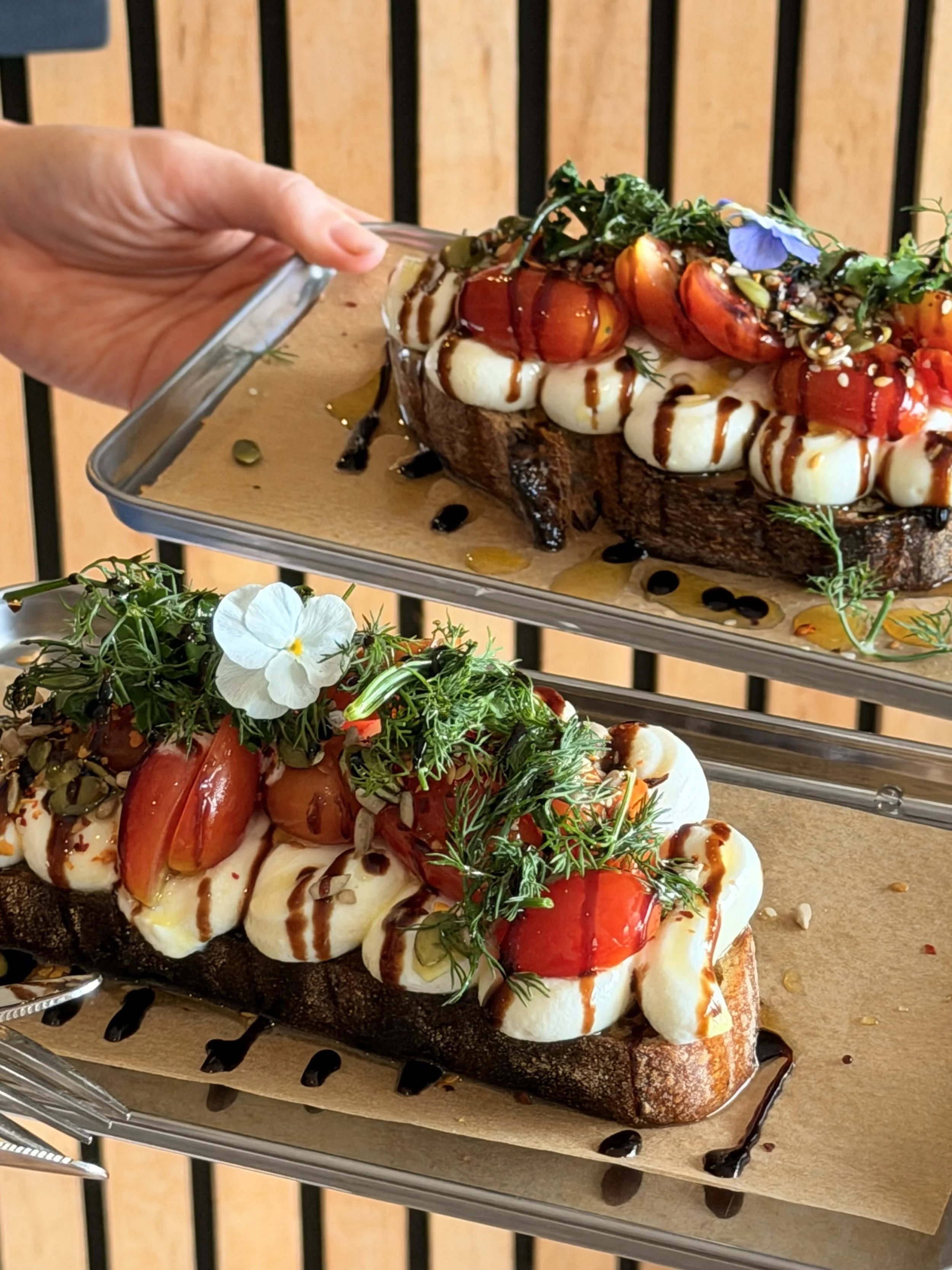 A close-up view of a gourmet appetizer featuring burrata cheese, cherry tomatoes, fresh herbs, and balsamic glaze on a toasted bread base, garnished with edible flowers and seeds, served on a metal tray.