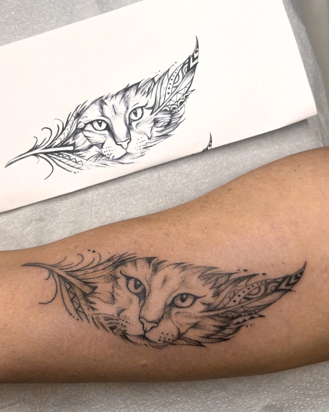 A feather&hellip;but make it my cat 😸 

A very special ode to &lsquo;Biscuit&rsquo; babay for @jentannermt aka Fun City aka Too Tall Jones 💛💛💛 

This realllly made me want to tattoo more animals. I still have a few spots open this month, get at m