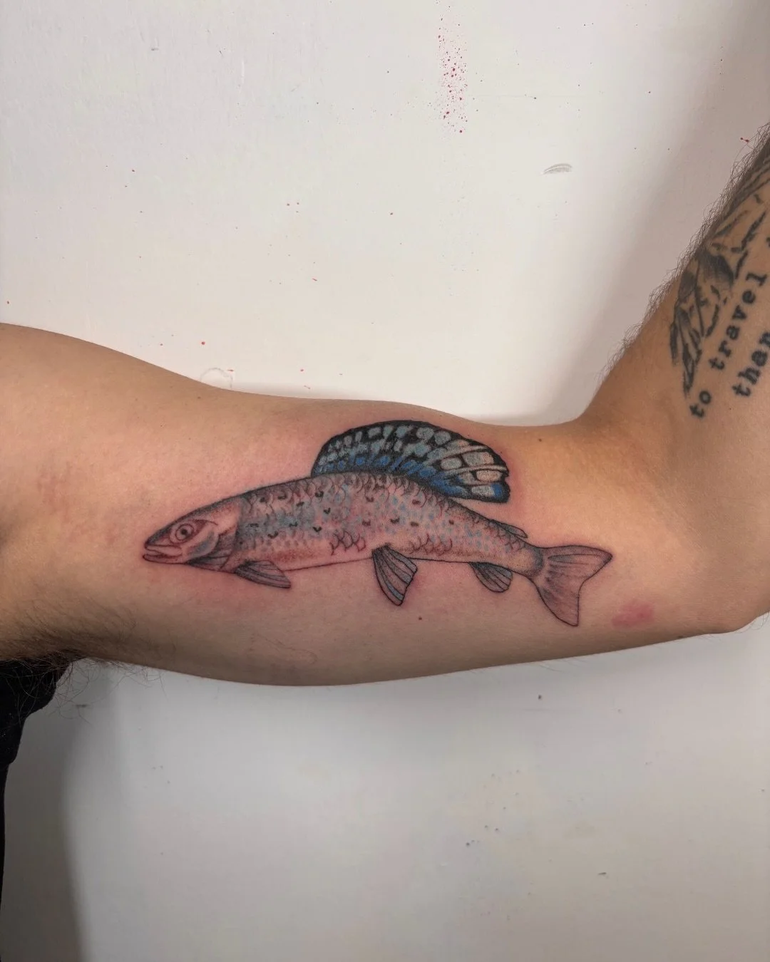 You know that one saying? The one that says the best way to celebrate Valentine&rsquo;s Day is to book a tattoo?

No? Well just trust me it&rsquo;s a thing people say. Promise.

Book your sweetheart a tattoo app through the link in my bio. 

#naturet