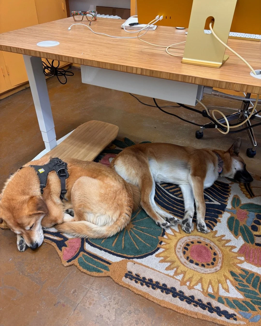 What my world looked like over the weekend.

#naturetattoo #montanatattoo #montanaartists #bozemantattooartist #bozemanmt