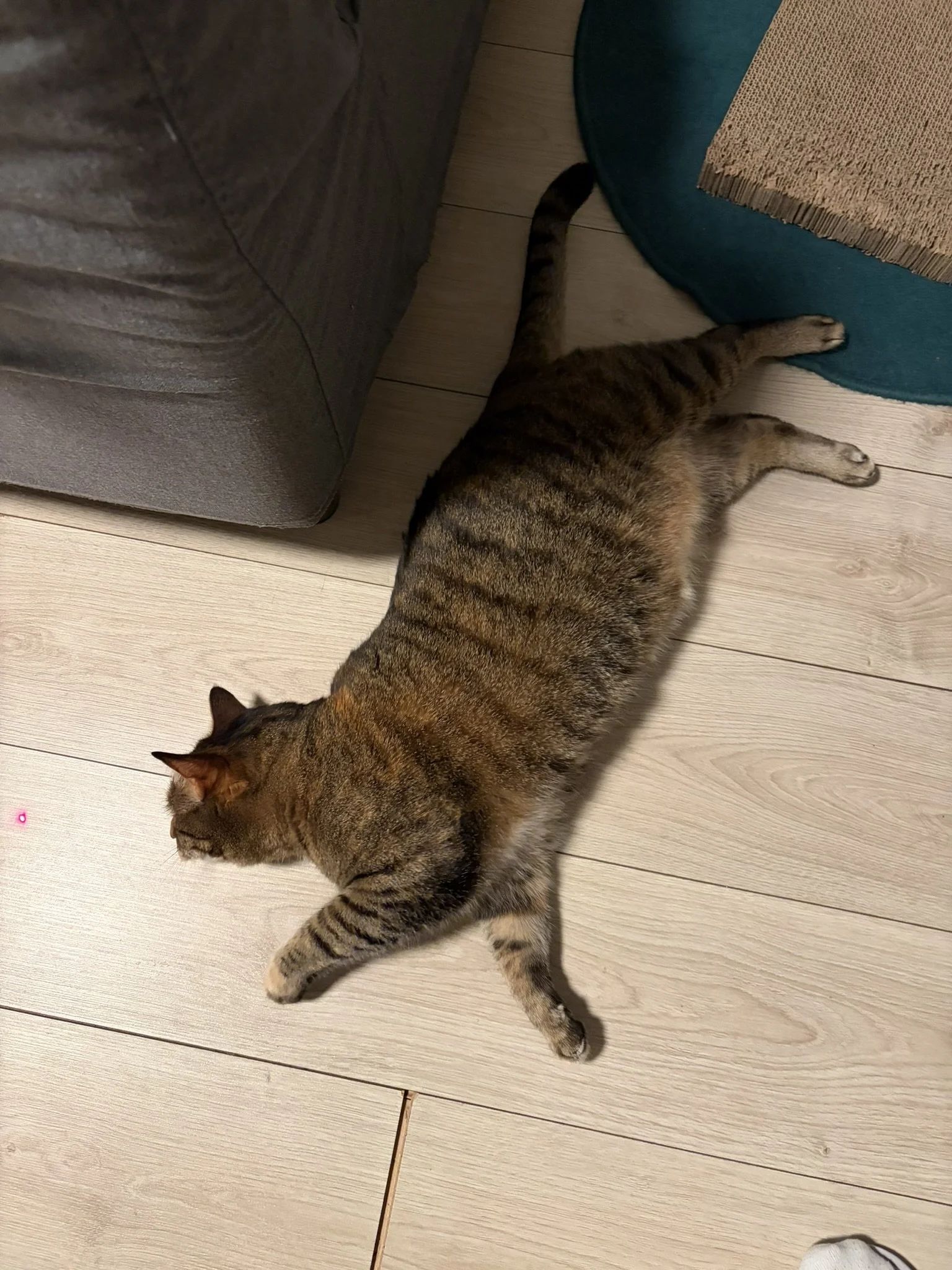 IMG_3635.JPEG
