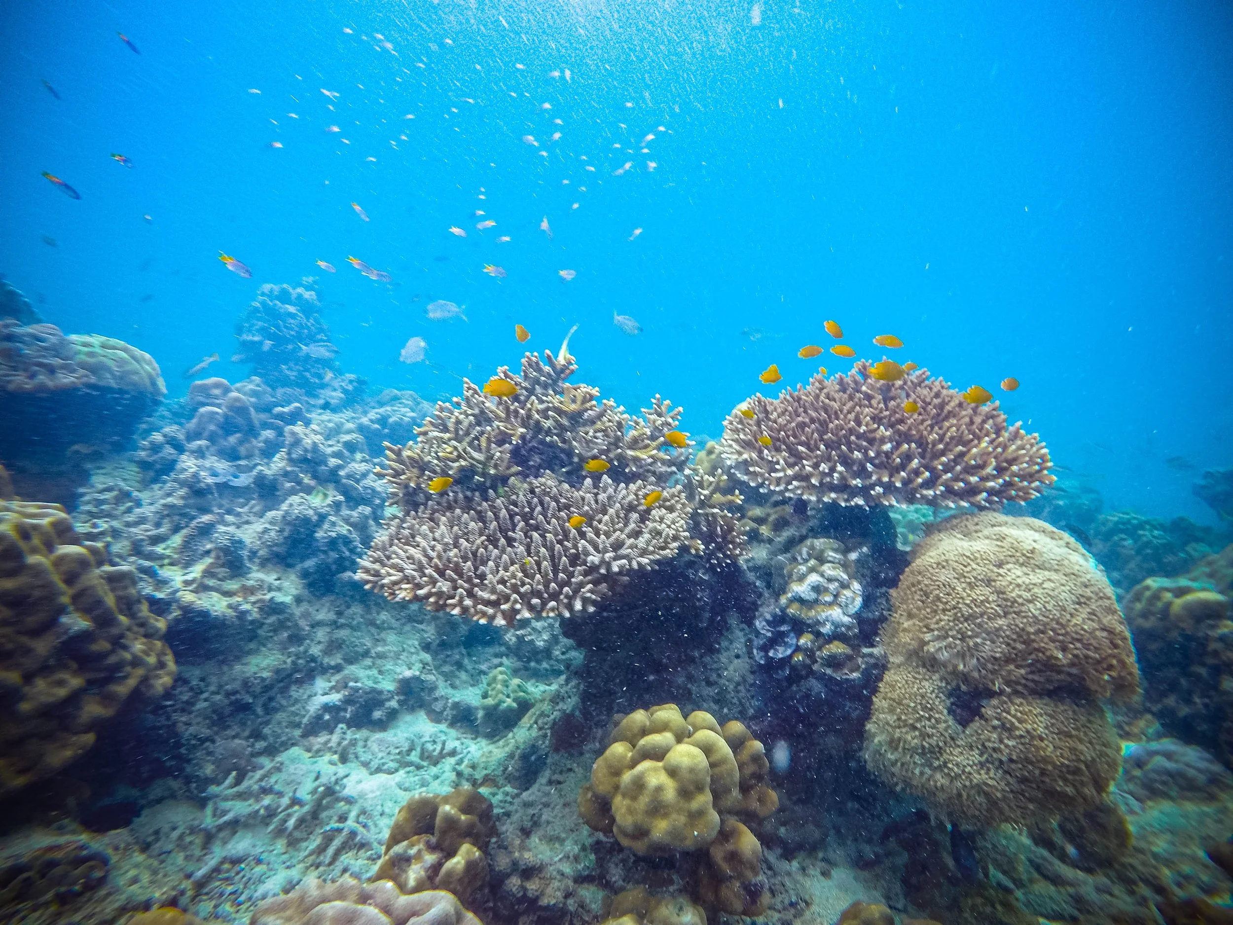 GOPR6562.jpg