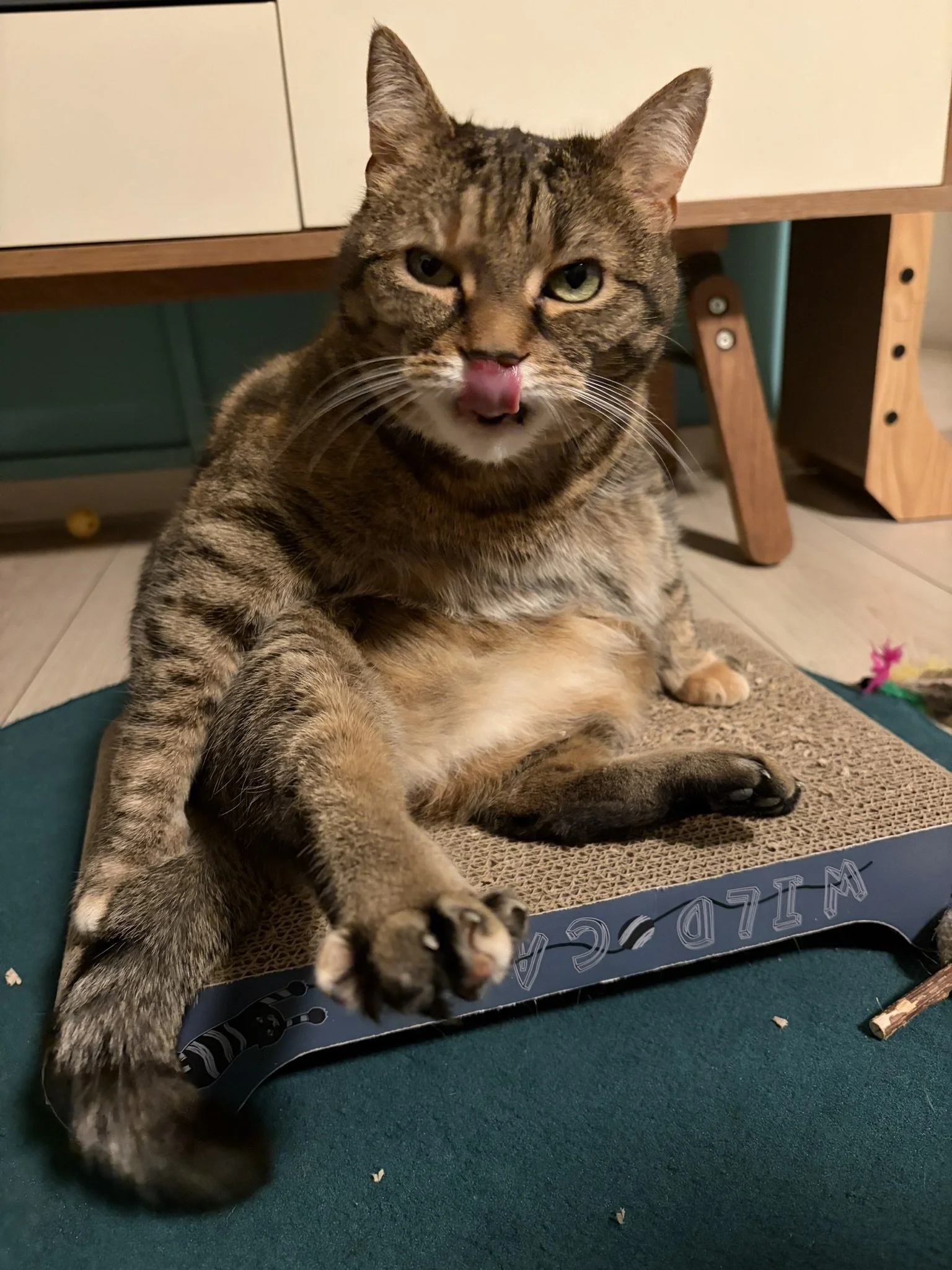 IMG_4351.JPEG