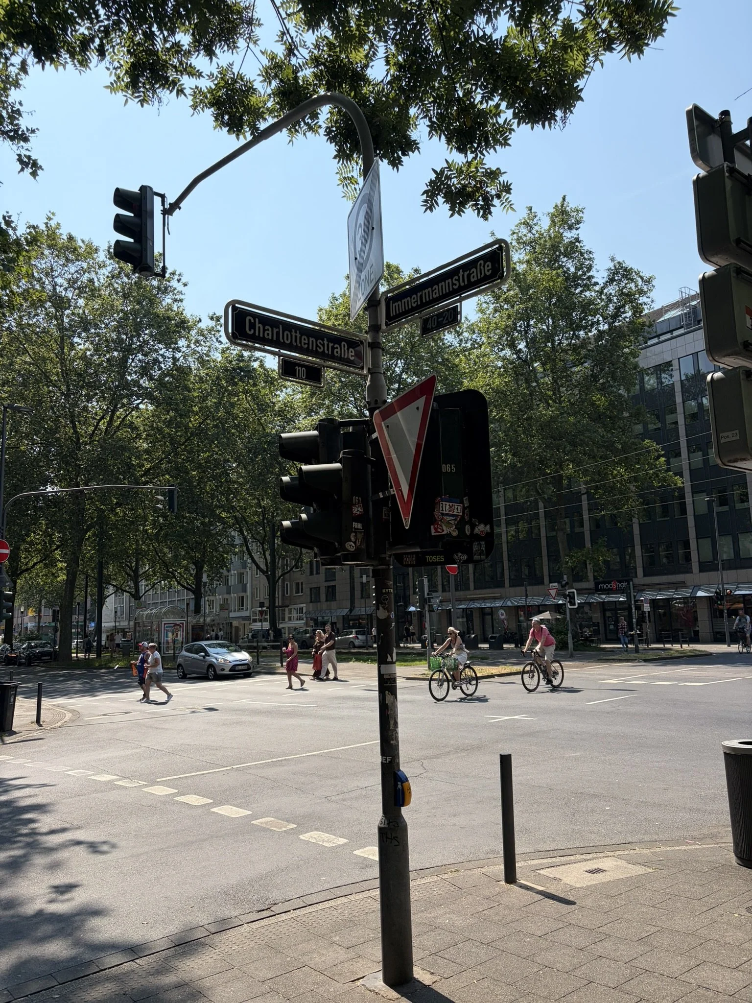 IMG_6156.JPEG