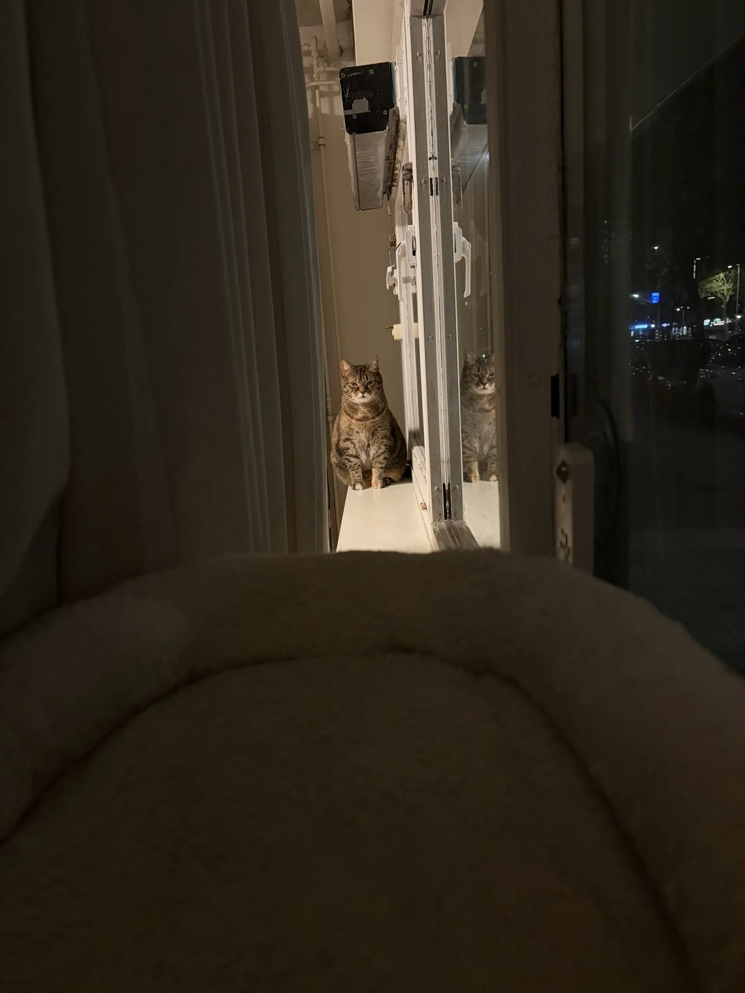 IMG_4760.JPEG