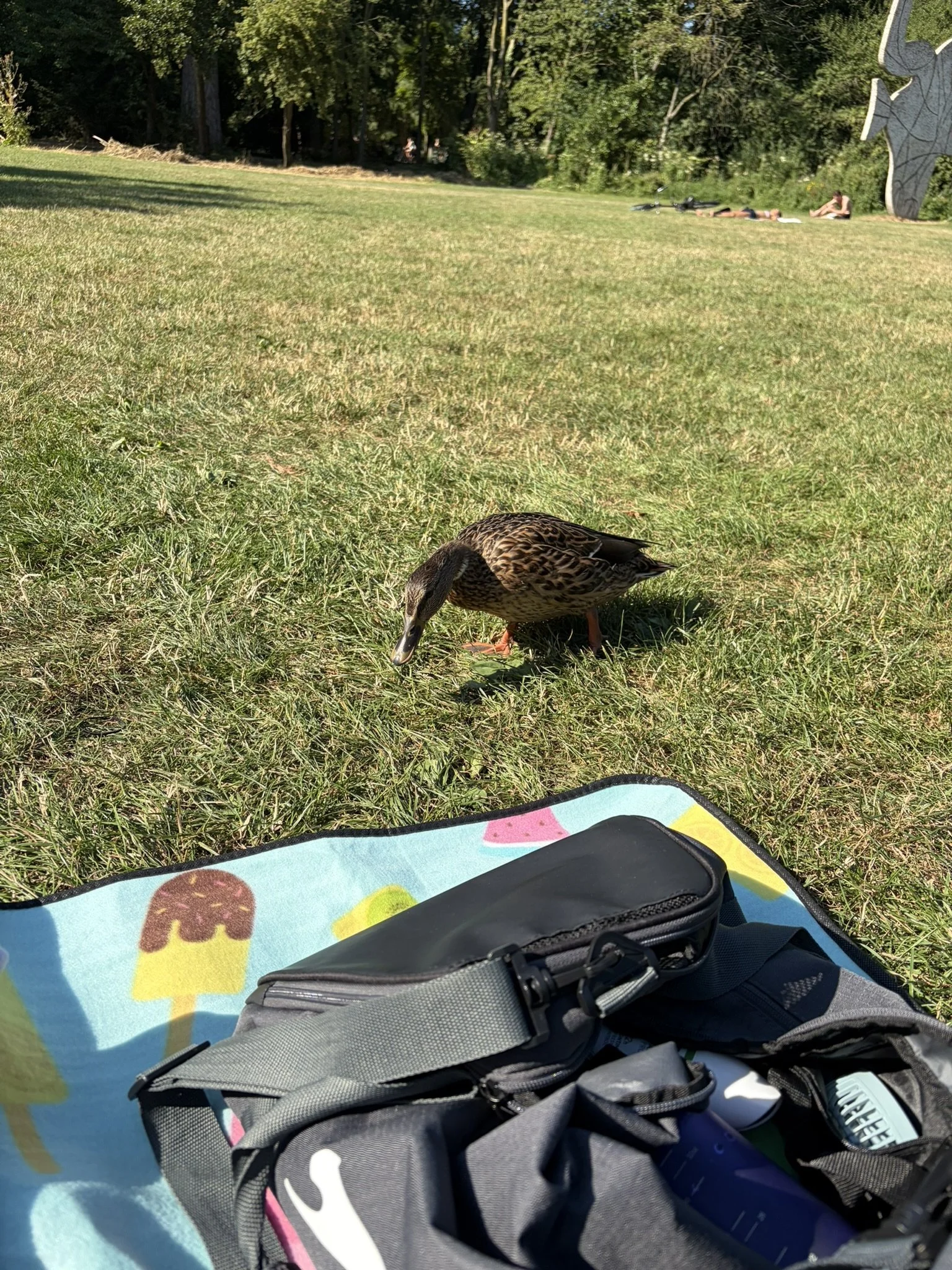 IMG_7057.JPEG