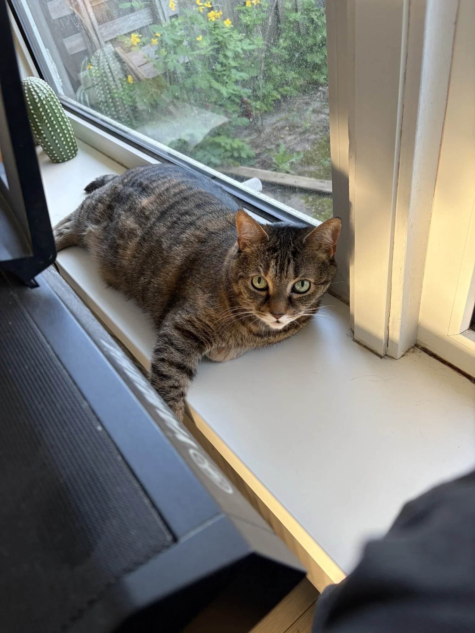 IMG_4441.JPEG