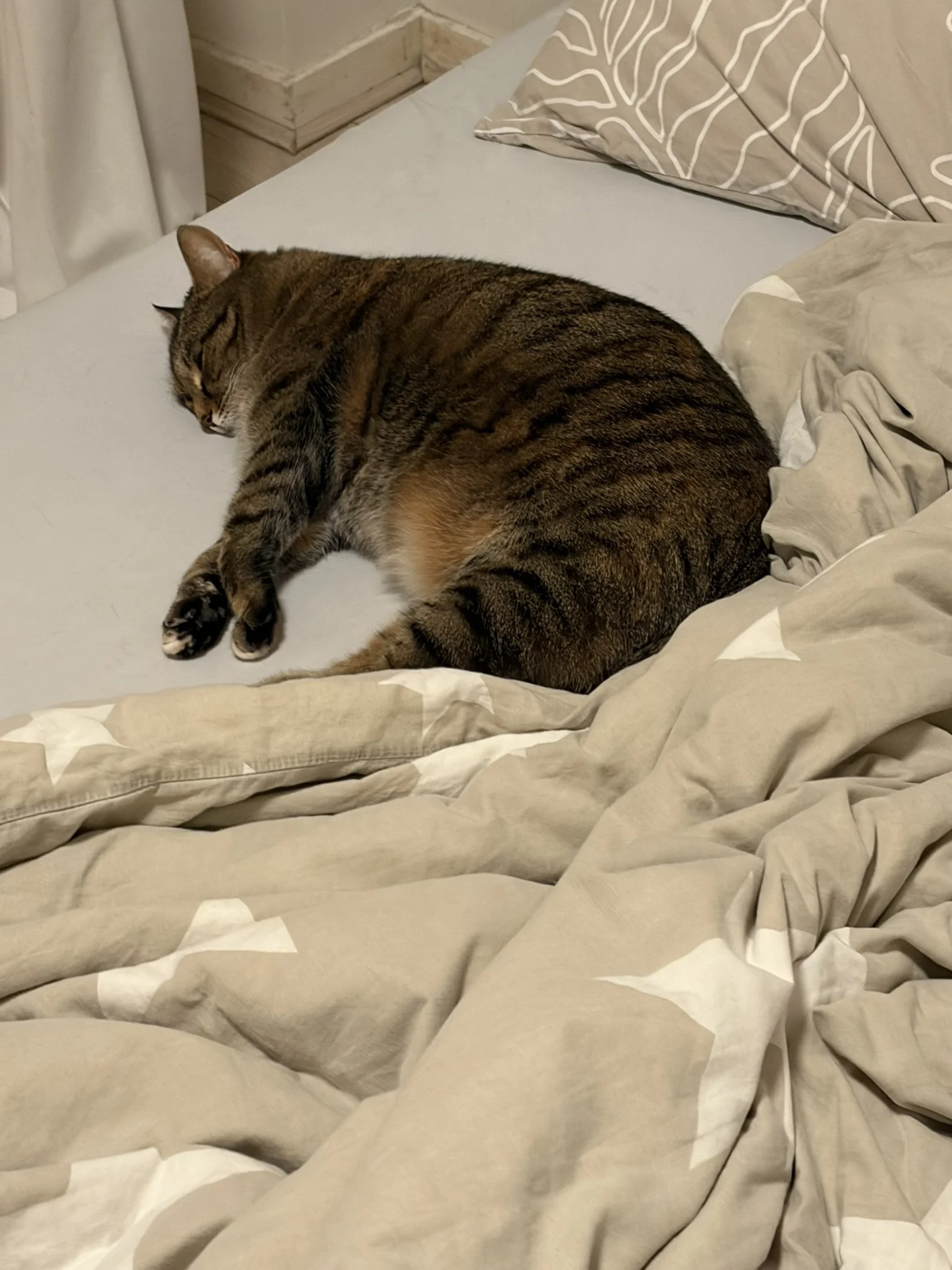 IMG_2720.JPEG