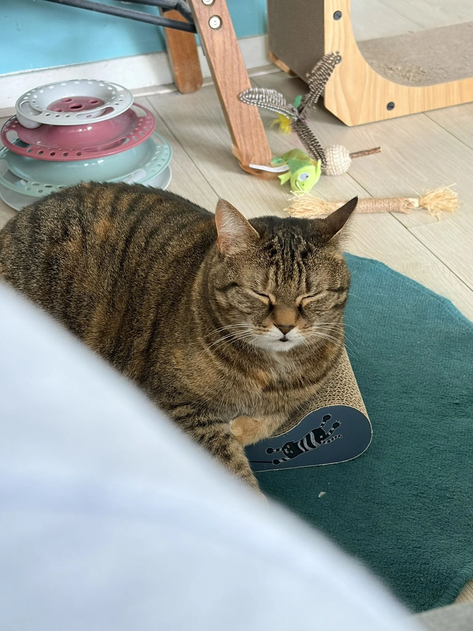 IMG_4395.JPEG