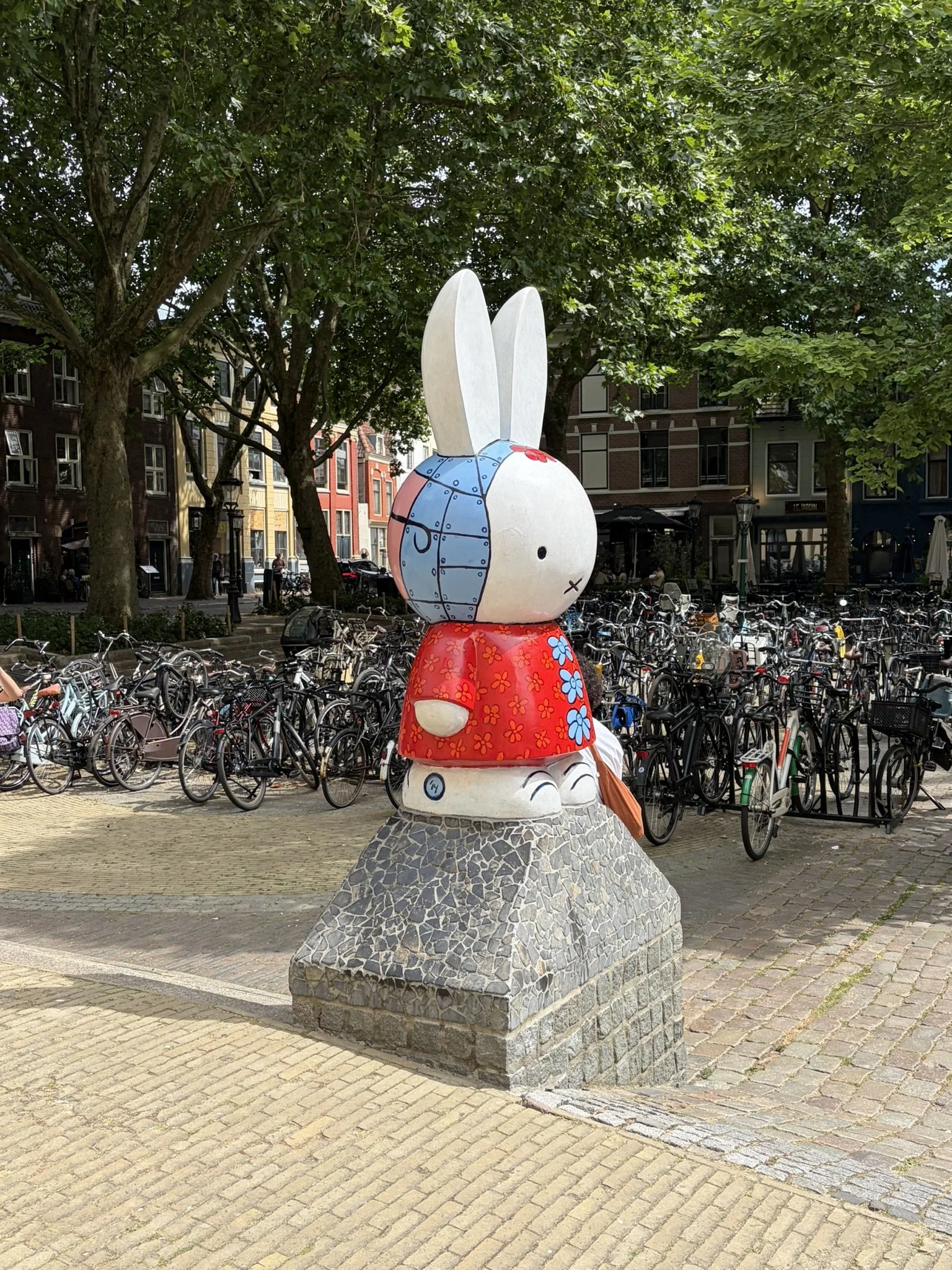 IMG_6541.JPEG