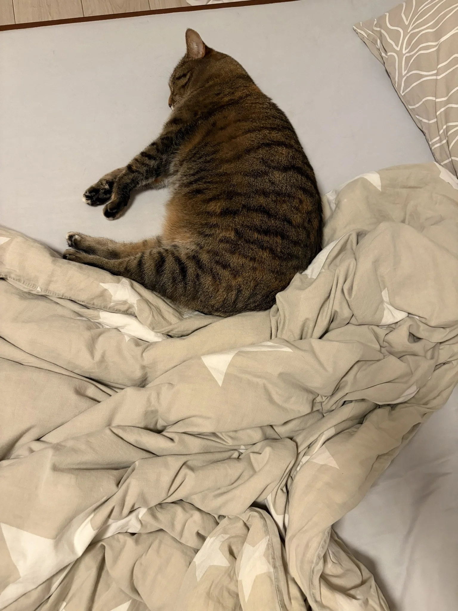 IMG_2721.JPEG