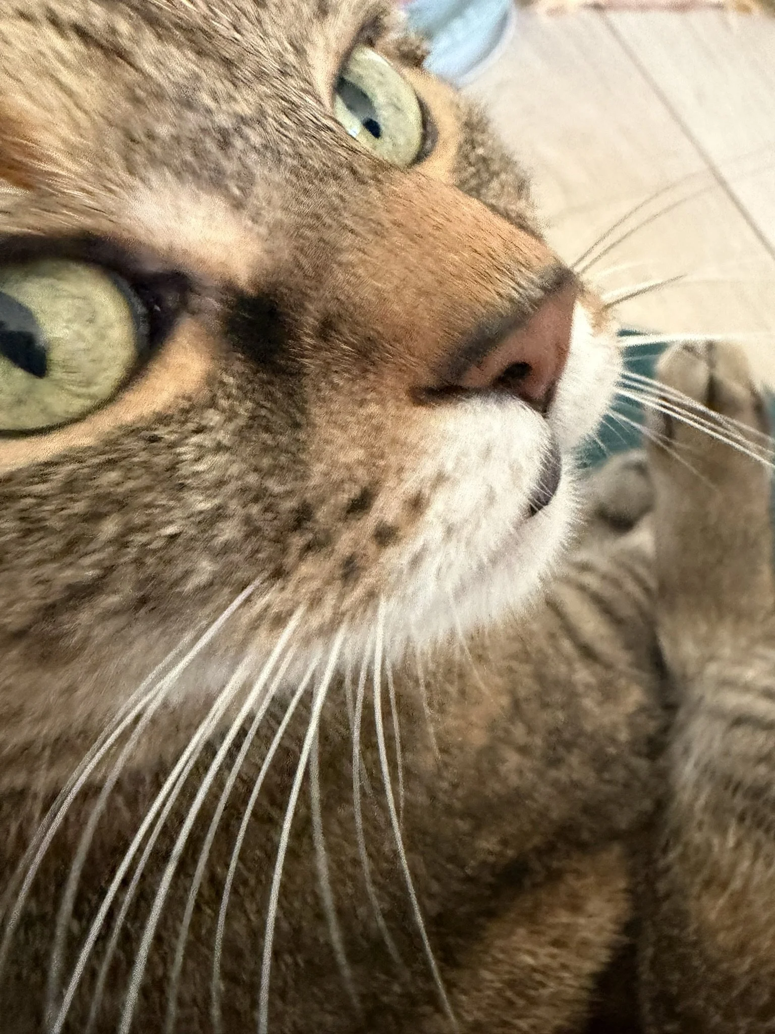 IMG_3647.JPEG
