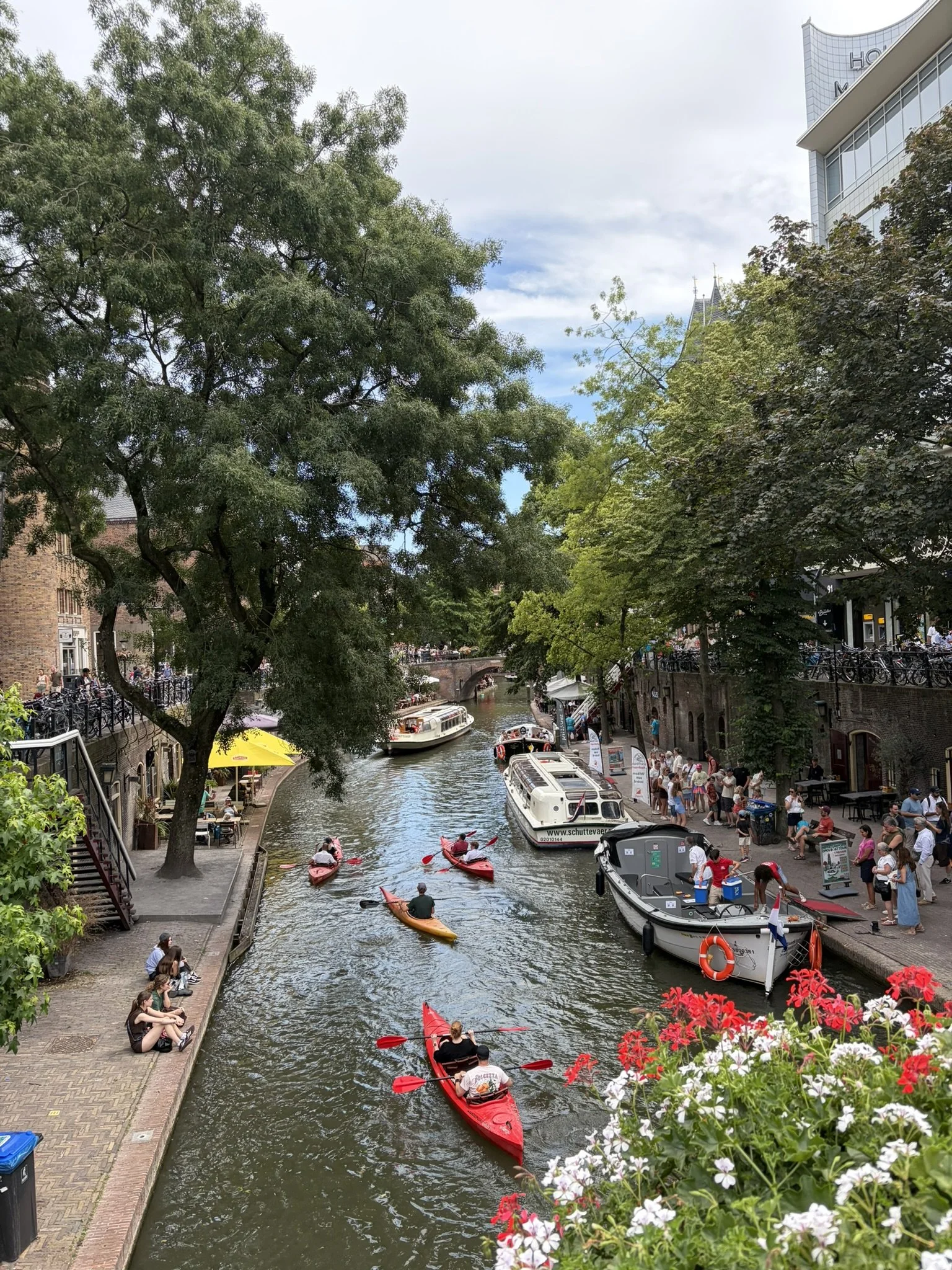 IMG_6553.JPEG