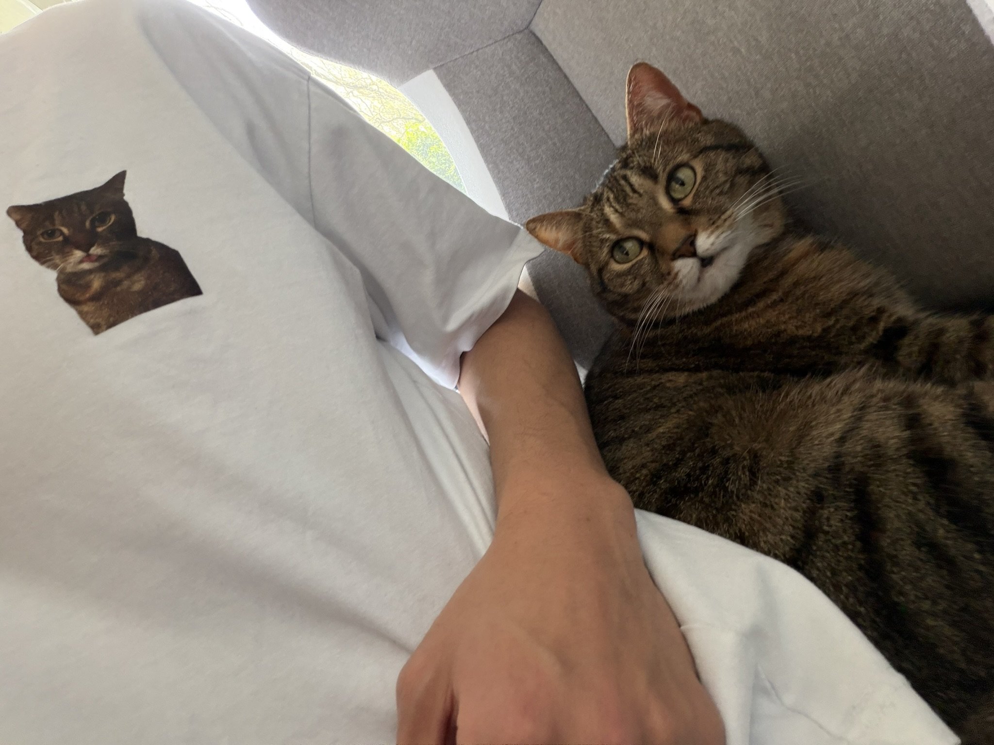 IMG_4410.JPEG