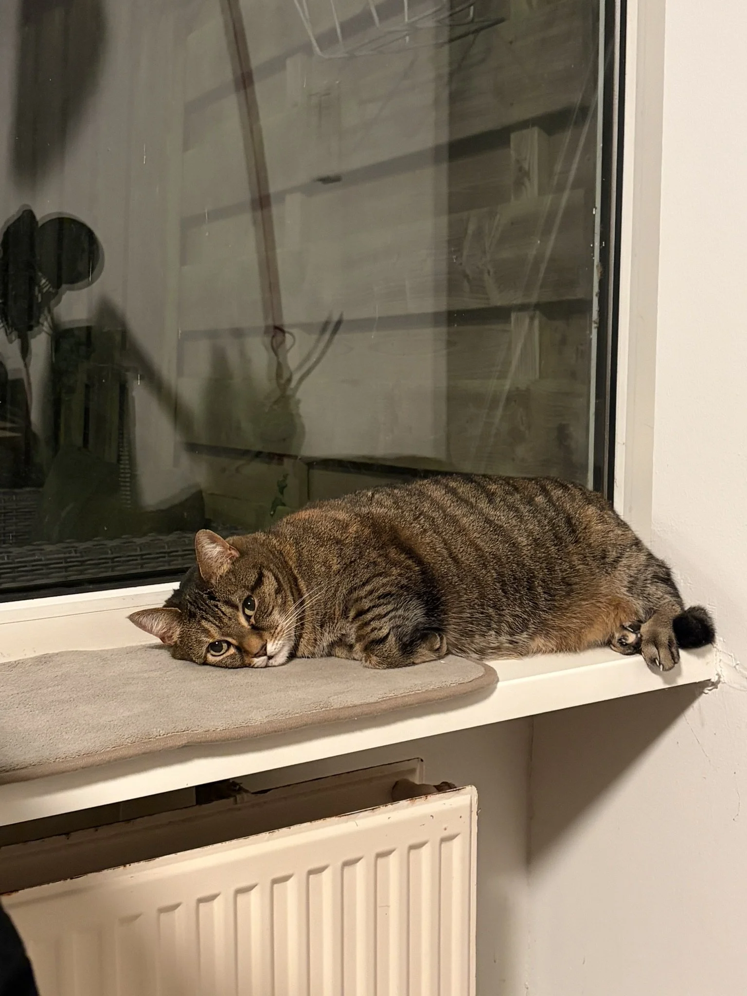 IMG_2123.JPEG