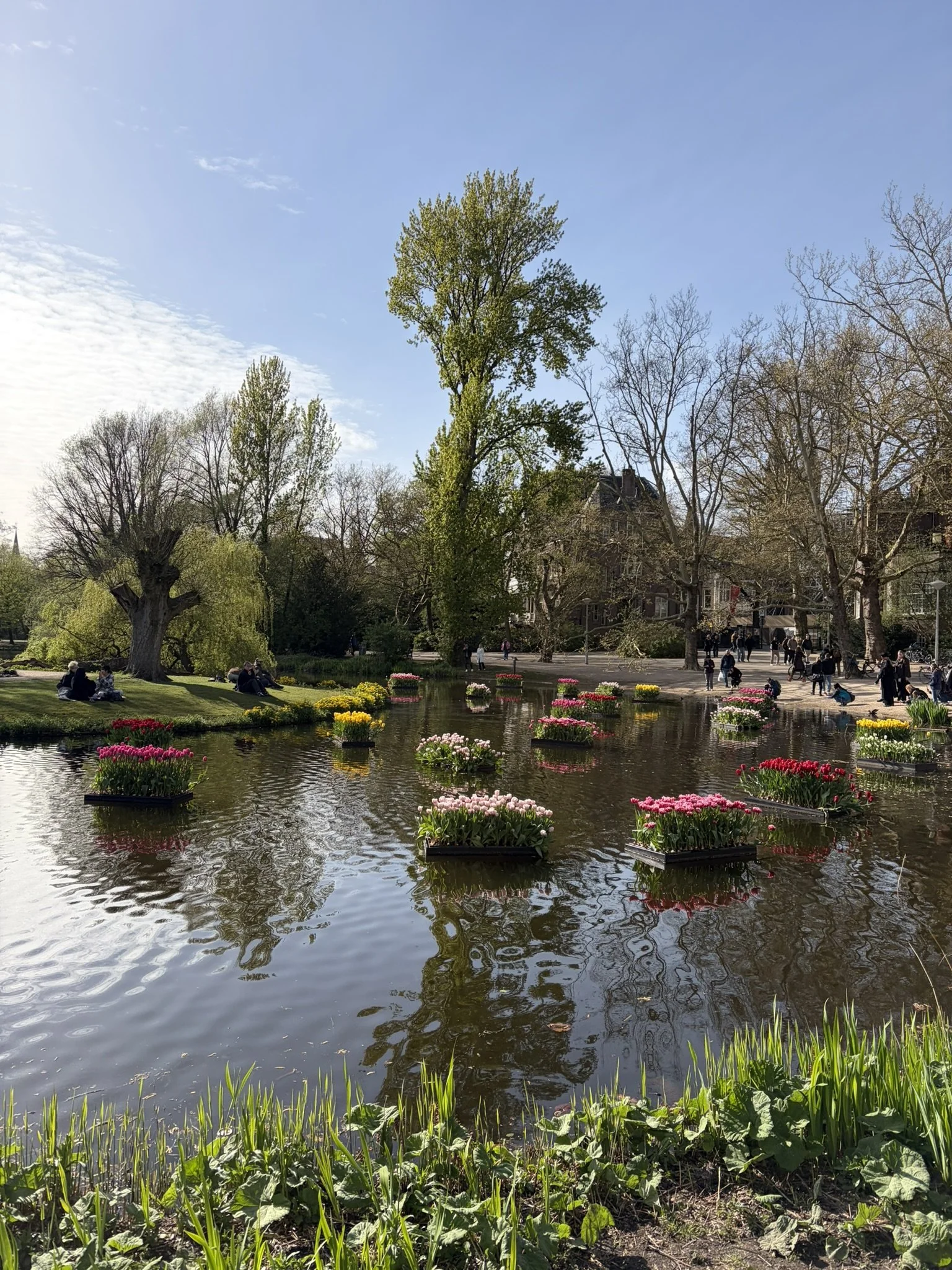IMG_4333.JPEG