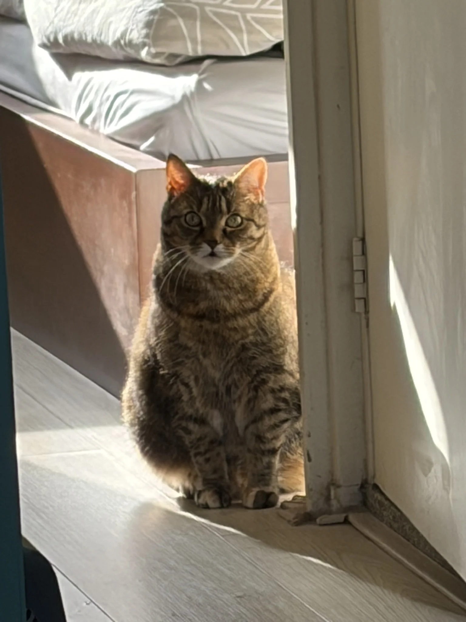 IMG_4510.JPEG