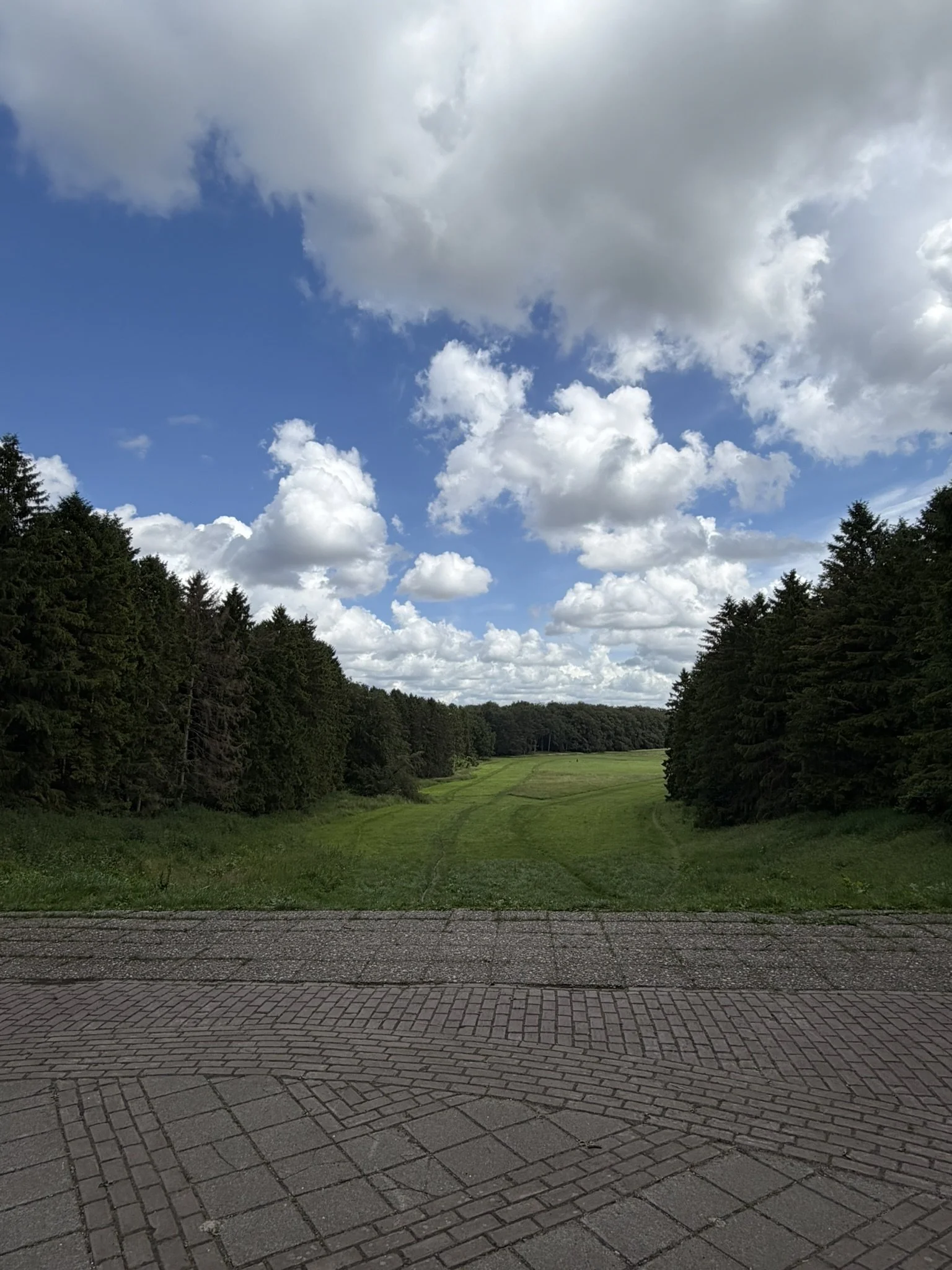 IMG_5799.JPEG