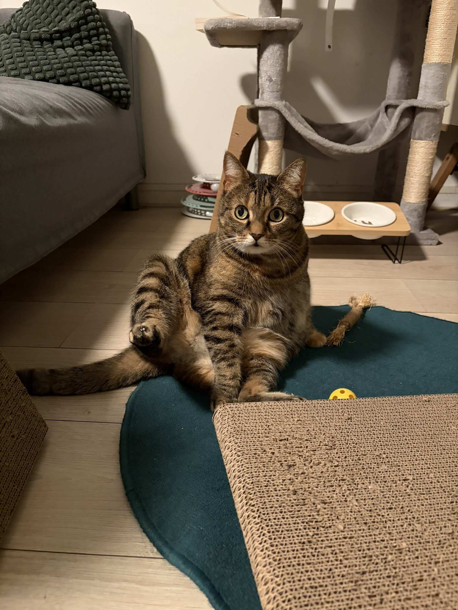 IMG_2485.JPEG