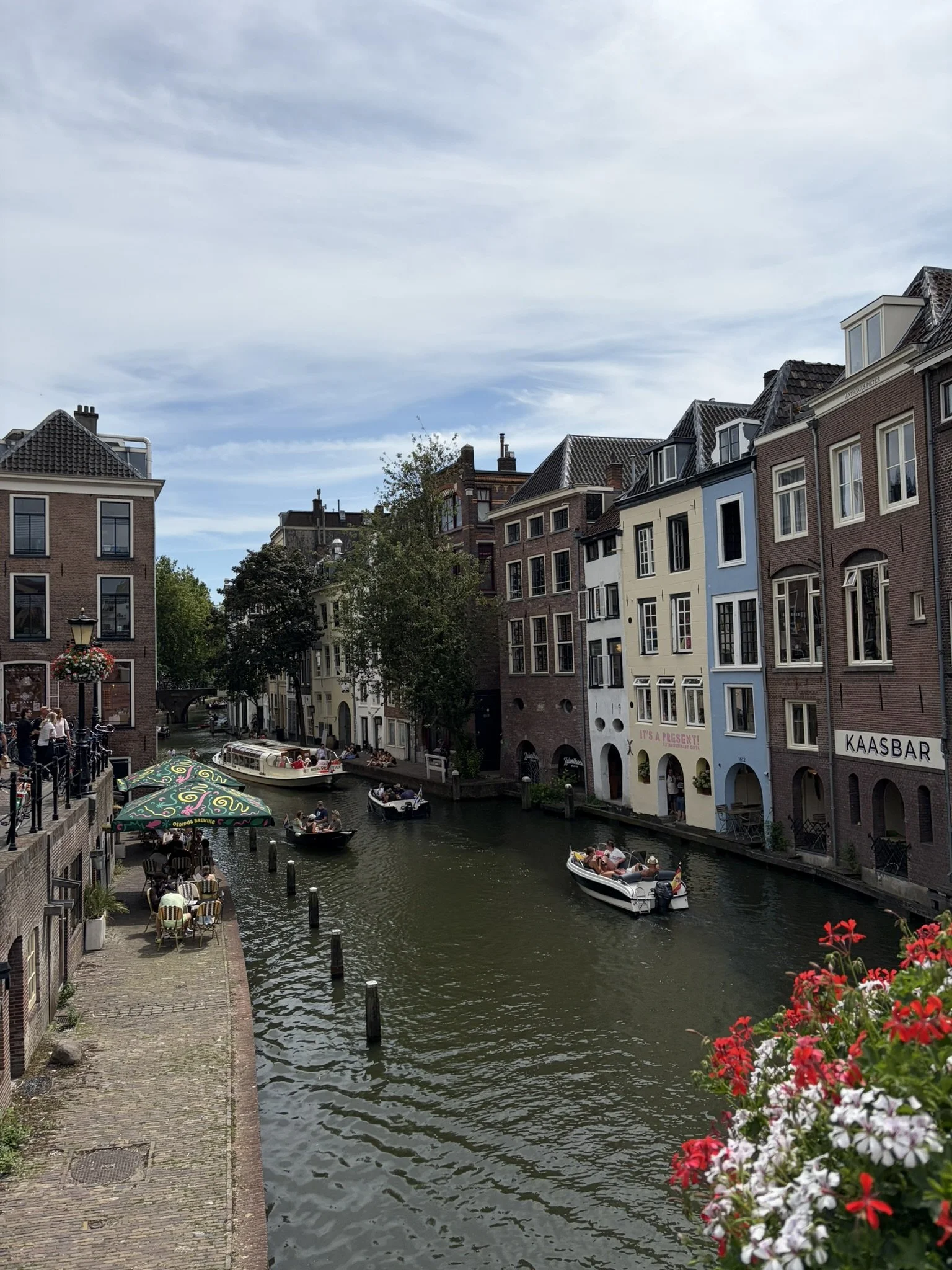 IMG_6529.JPEG