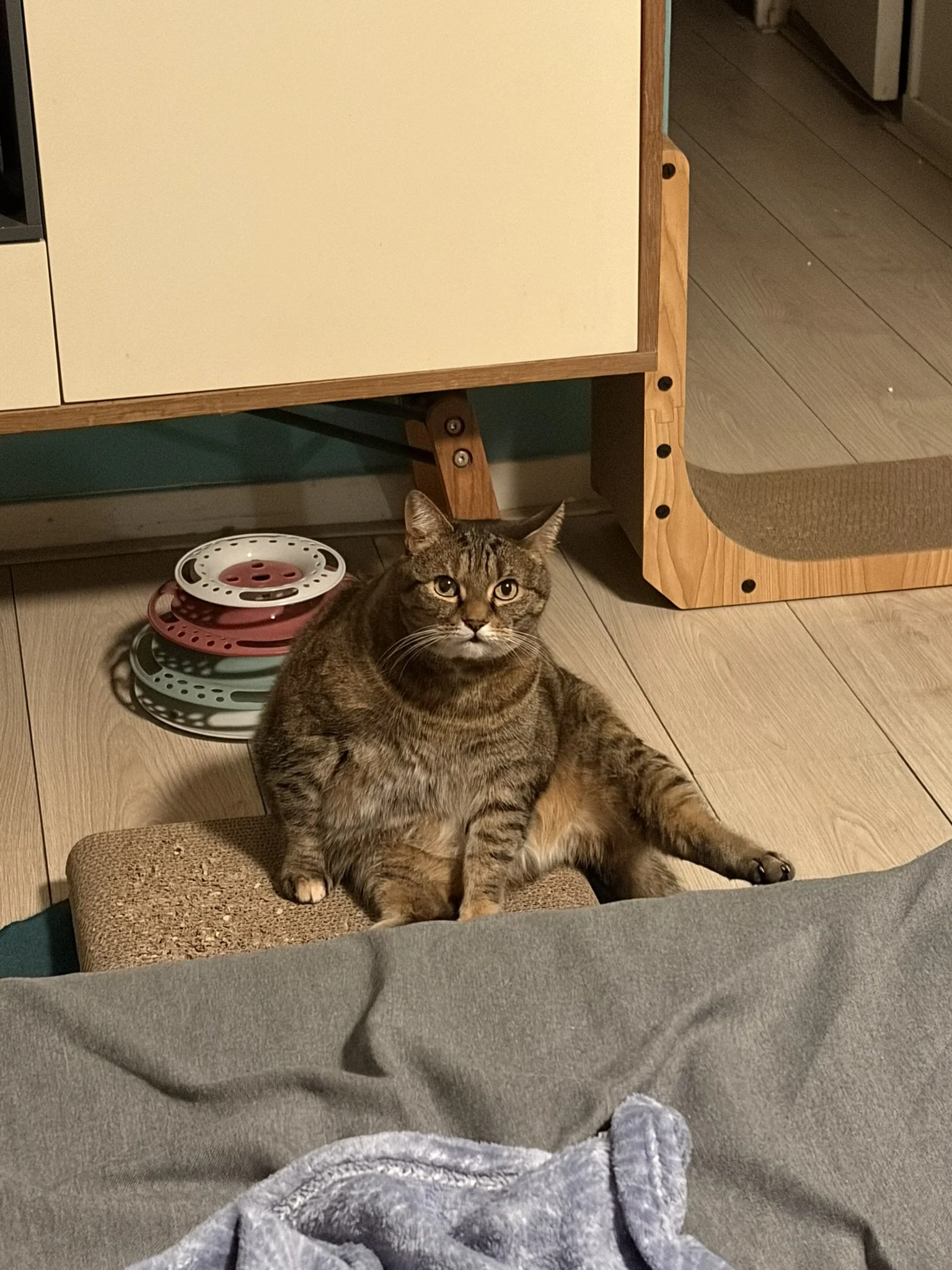IMG_3402.JPEG