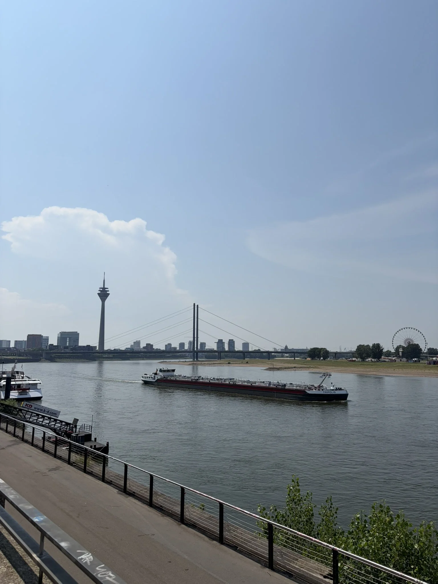 IMG_6180.JPEG