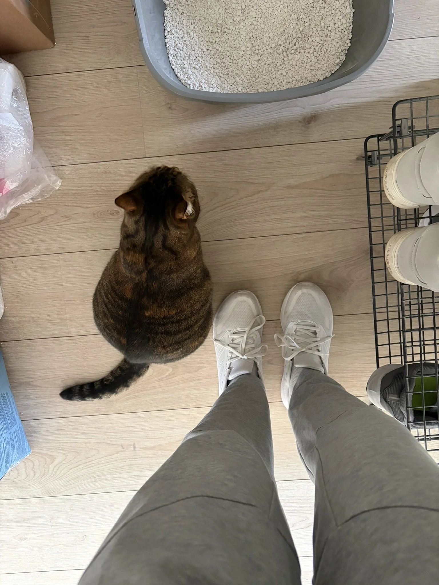 IMG_4302.JPEG