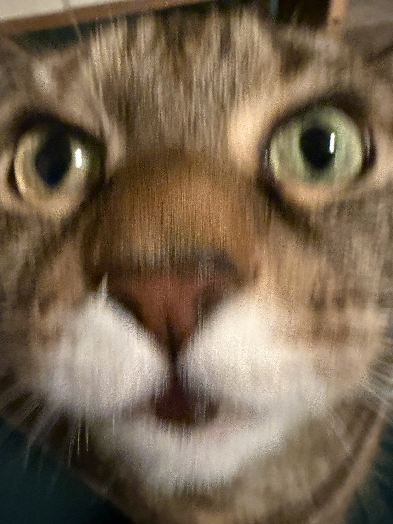 IMG_4252.JPEG