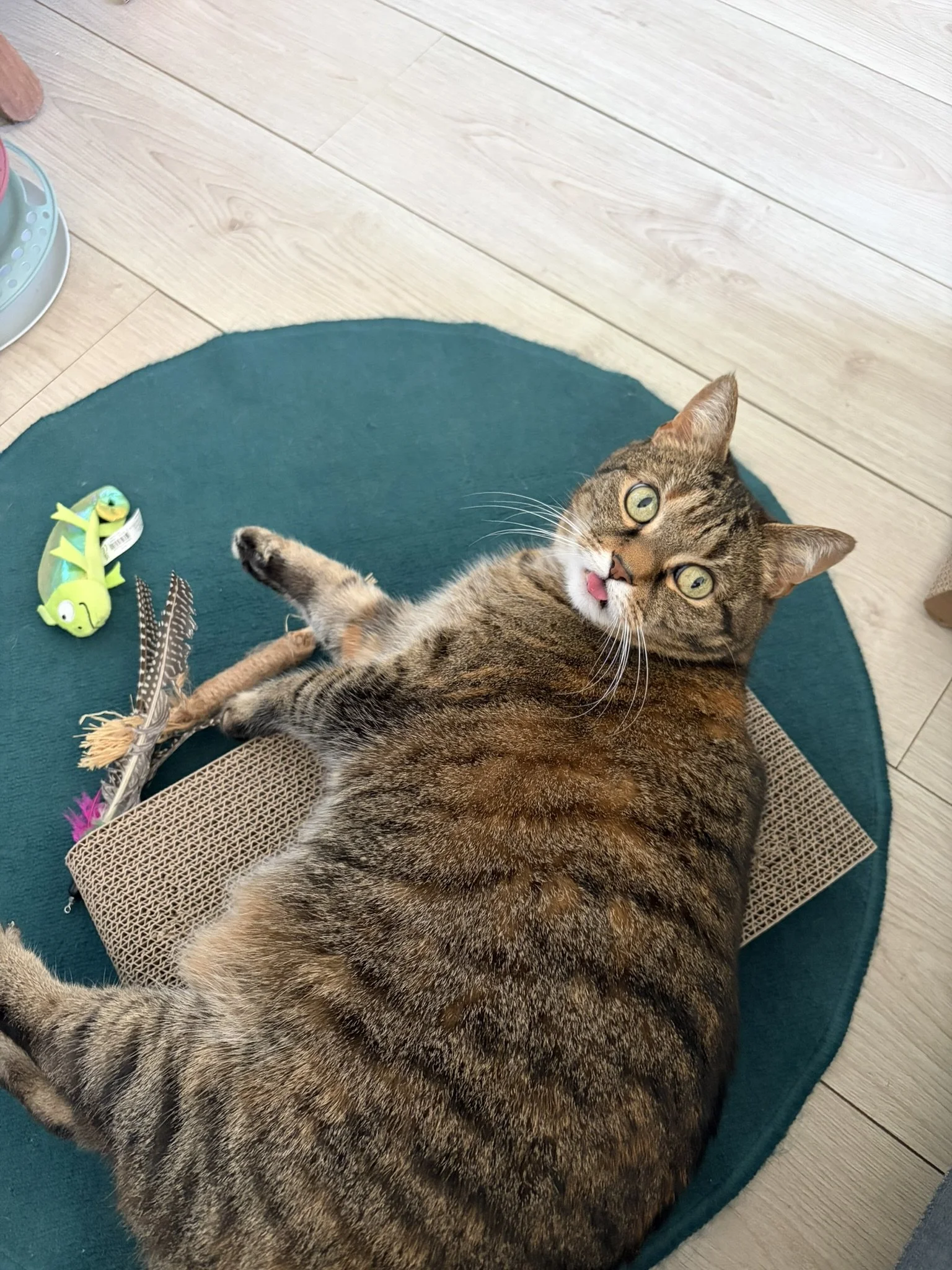 IMG_3301.JPEG