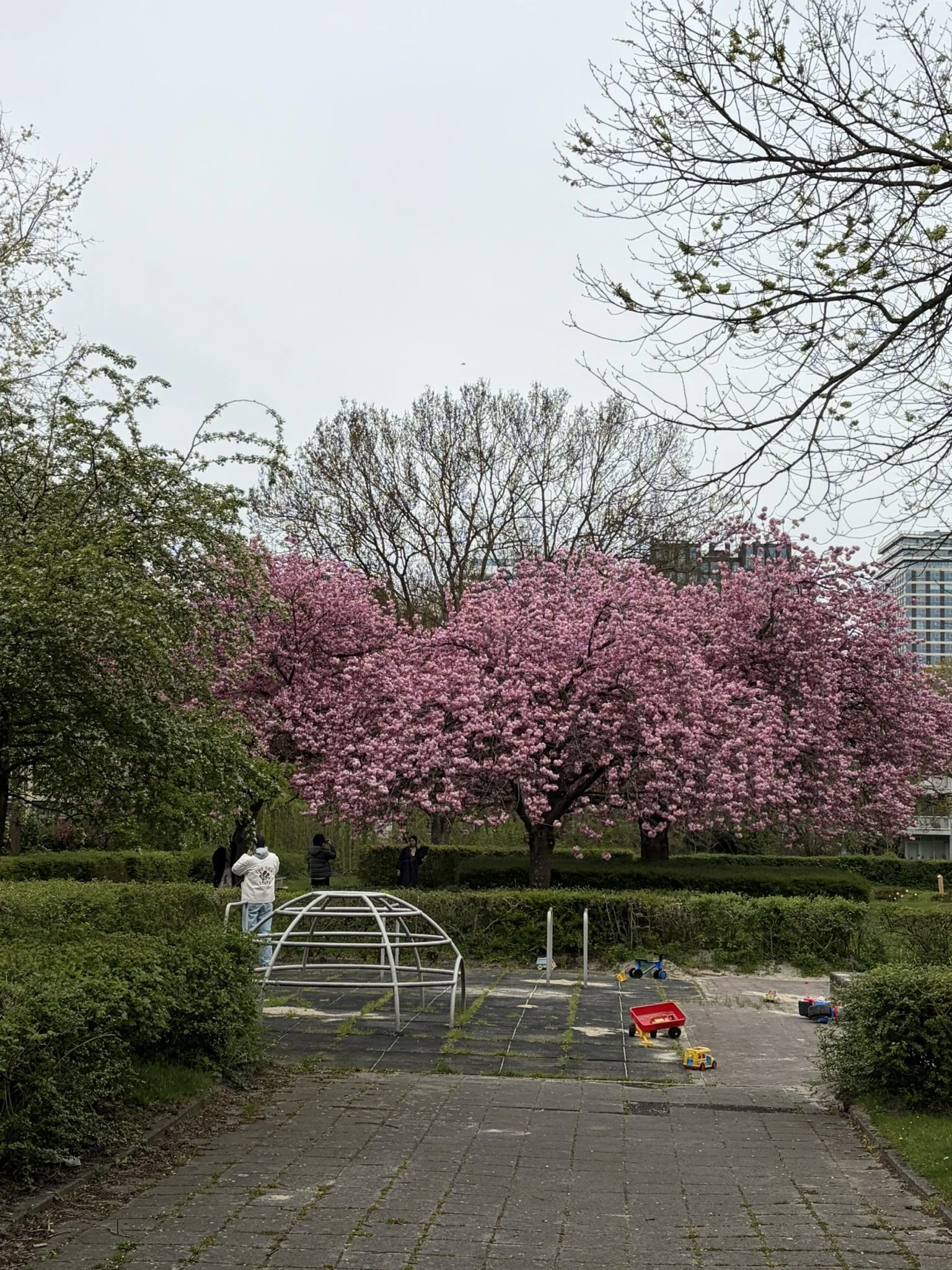 IMG_4392.JPEG