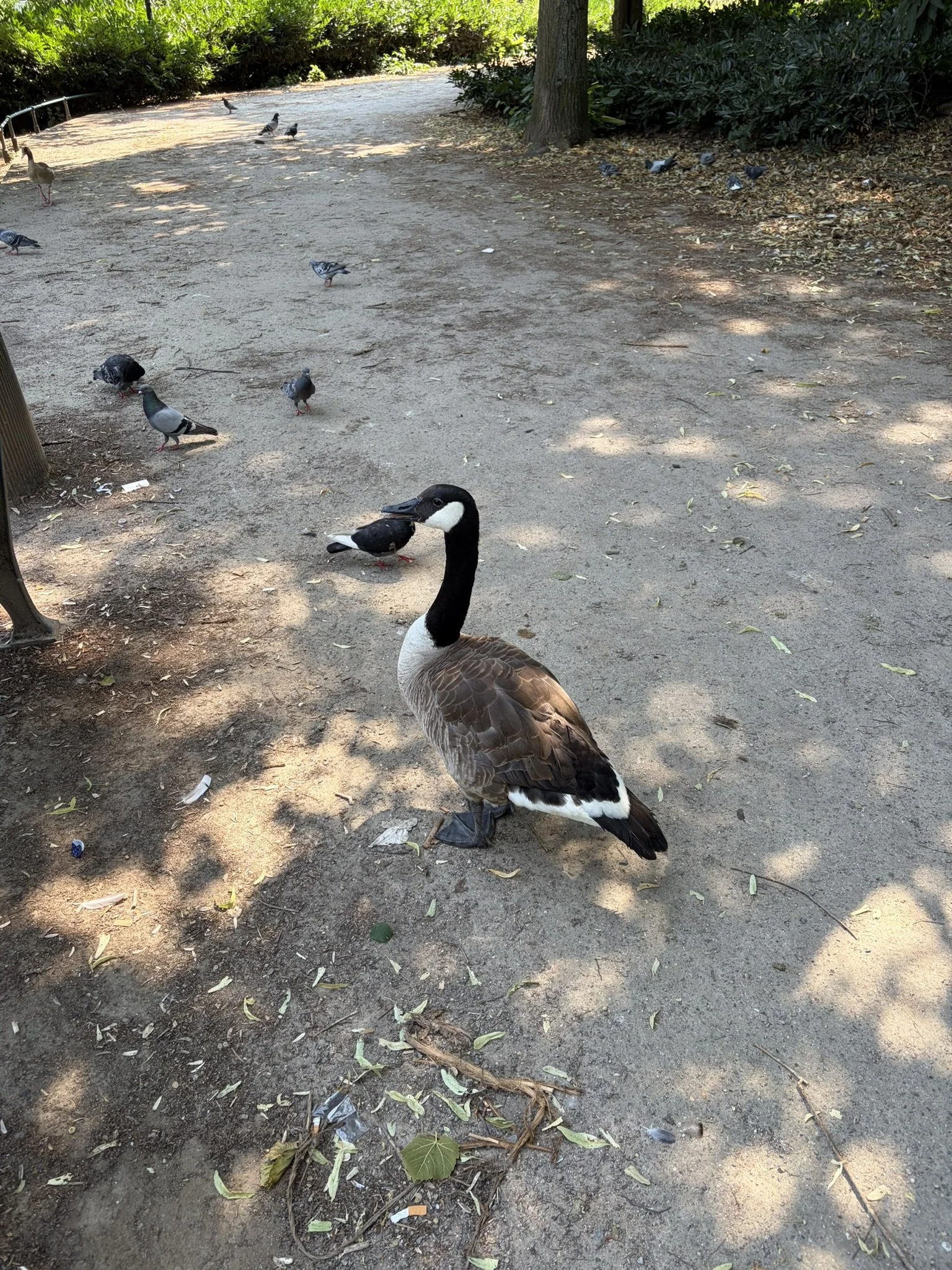 IMG_6175.JPEG