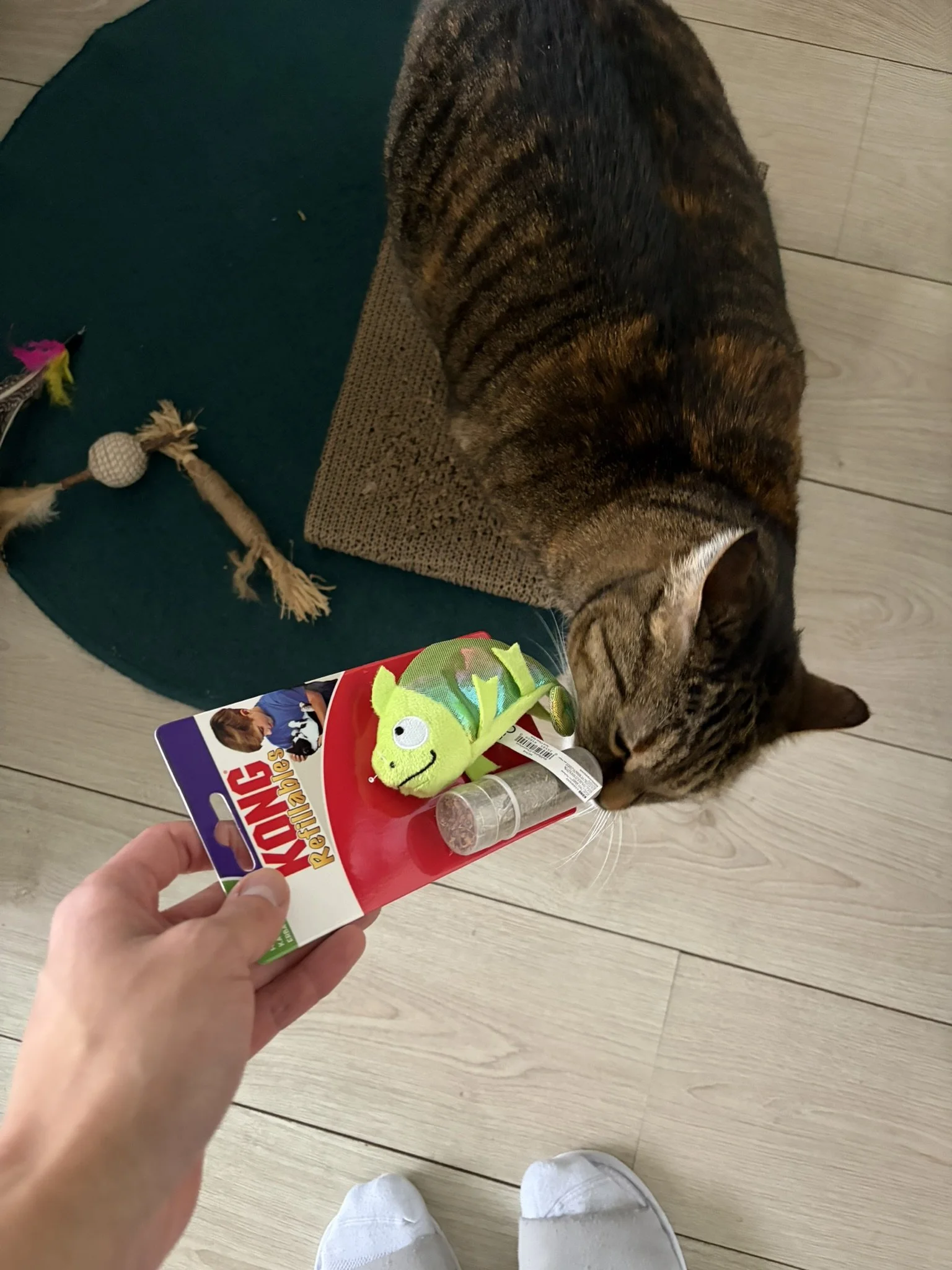 IMG_3040.JPEG