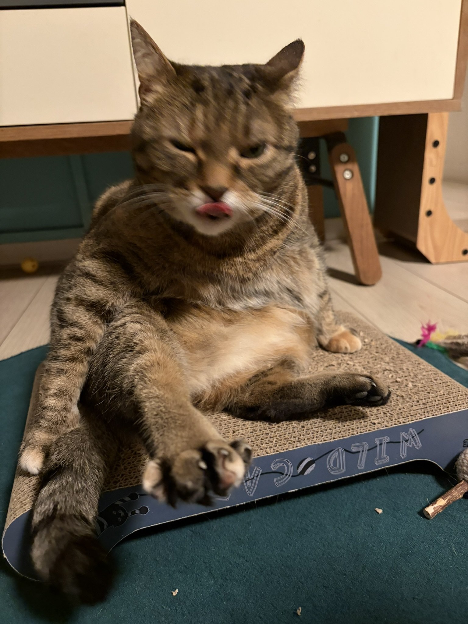 IMG_4352.JPEG
