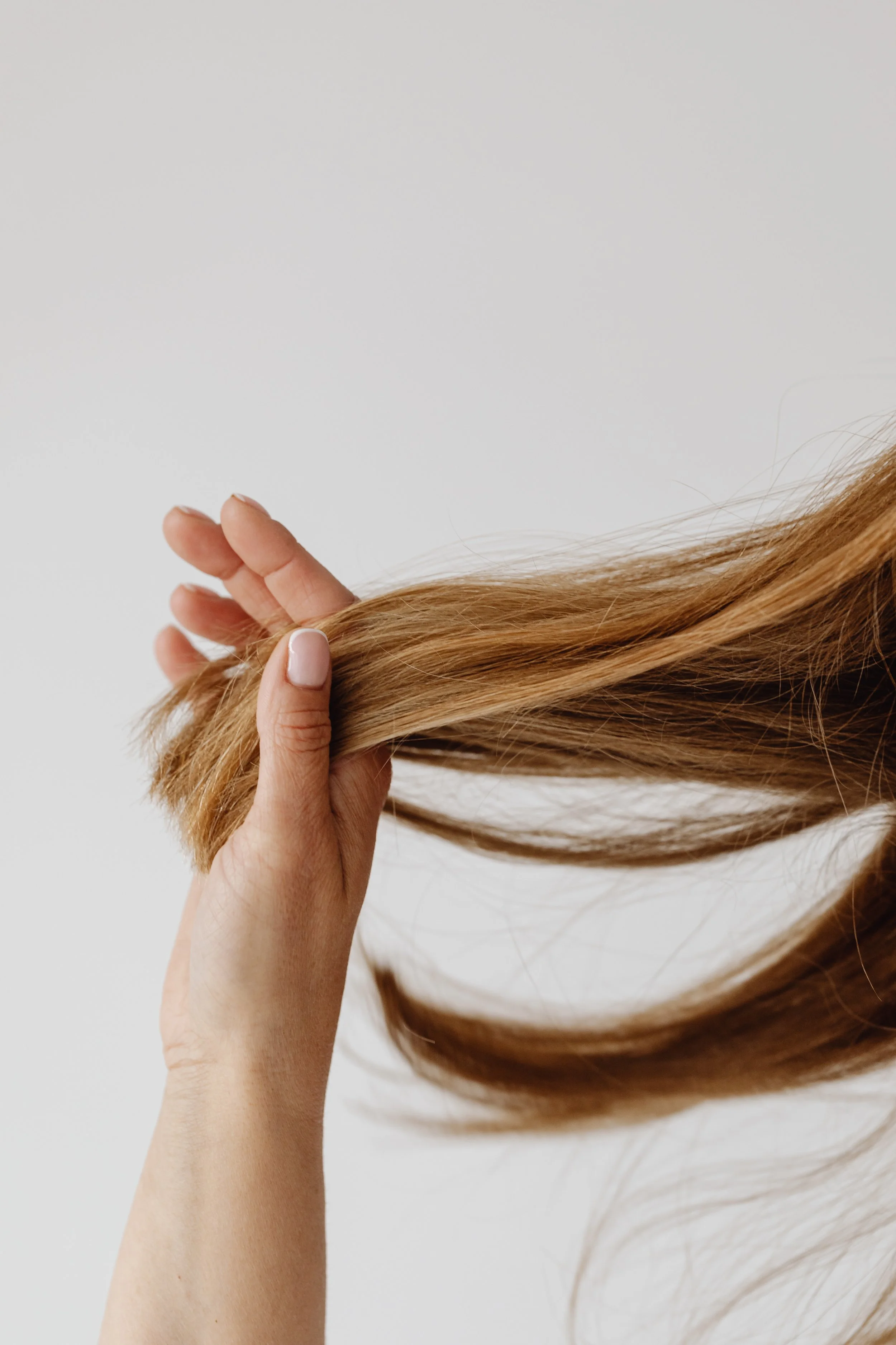 kaboompics_brushing-hair-and-making-hairstyles-hair-care-26362.jpg