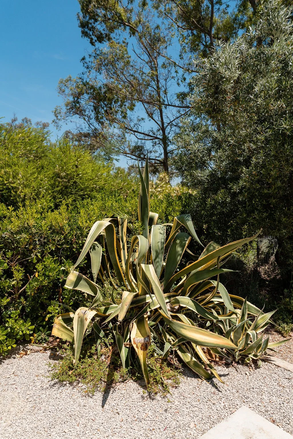 Surroundings_6.jpg