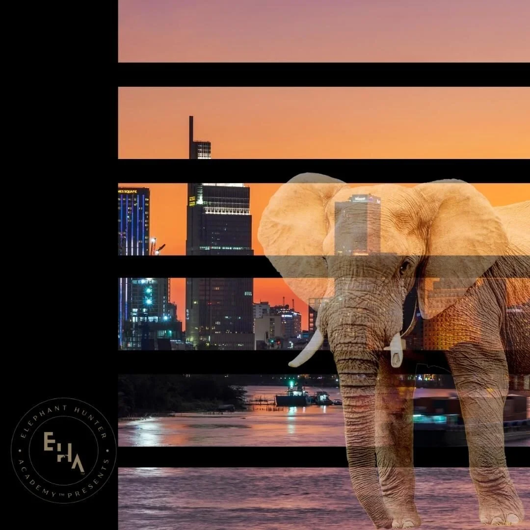 There is an elephant in the room waiting to be tagged.

Join our mission of mercy to free elephants everywhere!

The adventure will soon begin.

#leadwithpurpose, #leadwithcourage, #leadwithkindness, #leadwithintegrity, #leadwithintention, #leadlikej