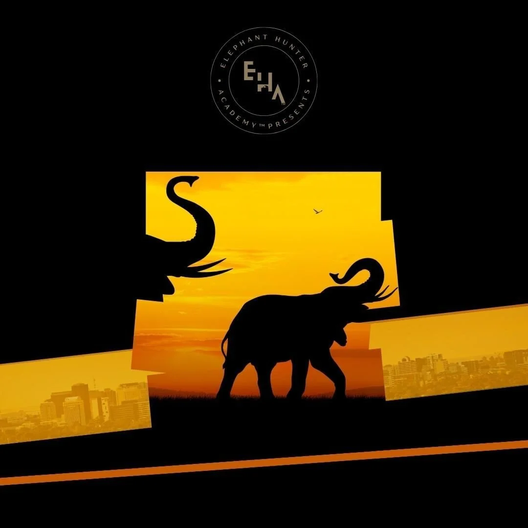 Elephants in the room are net-neutral organizational truths trying to bump and jostle you into speaking up.

On a mission of mercy to rescue all elephants, in the room and the world.🕵️🐘

Join the adventure! The book series will soon be here.

#elep